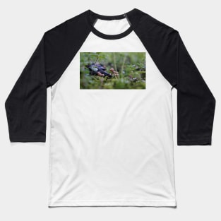 Tiny Mushrooms in the Wet Grass Baseball T-Shirt